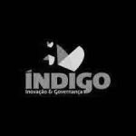 fundacao indigo